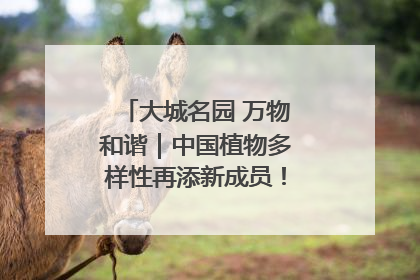 大城名园 万物和谐｜中国植物多样性再添新成员！它只在西藏墨脱